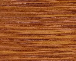 Oranż 23 01
