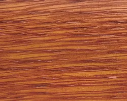 Teak 23 32