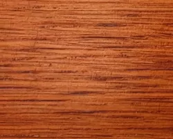 Teak 23 50