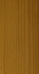 Drewno sosny cyprys